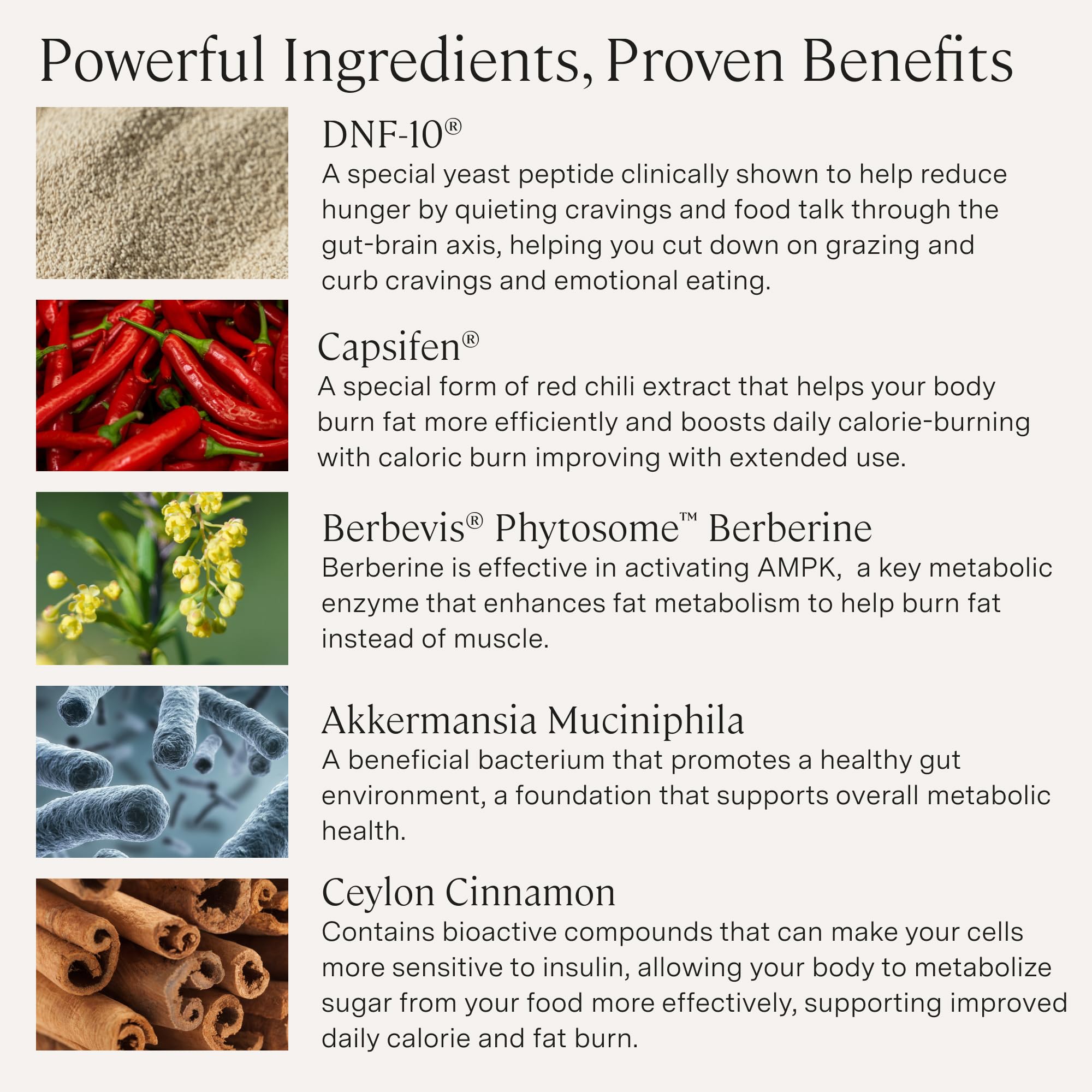 Stonehenge Health Dynamic GLP-1 capsules close-up for convenient vegan capsules.