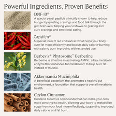 Stonehenge Health Dynamic GLP-1 capsules close-up for convenient vegan capsules.