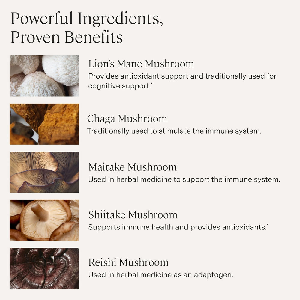 Stonehenge Health Dynamic Mushrooms fruiting bodies close-up showing pure mushroom content
