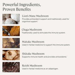 Stonehenge Health Dynamic Mushrooms fruiting bodies close-up showing pure mushroom content