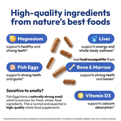 Strong Jaw Tooth Restore ingredients hydroxyapatite highlighted for enamel care