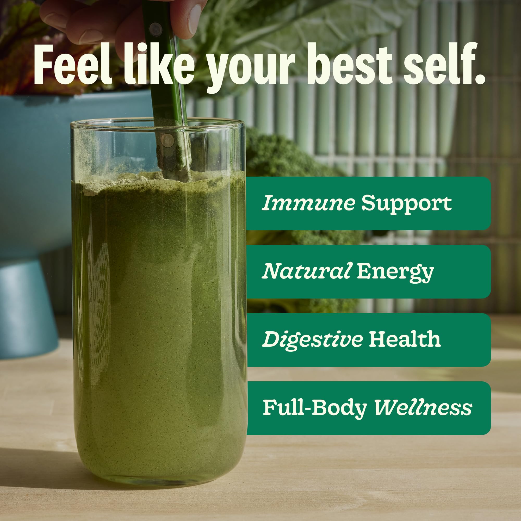 Suja Greens Powder spirulina close-up highlighting vibrant greens.