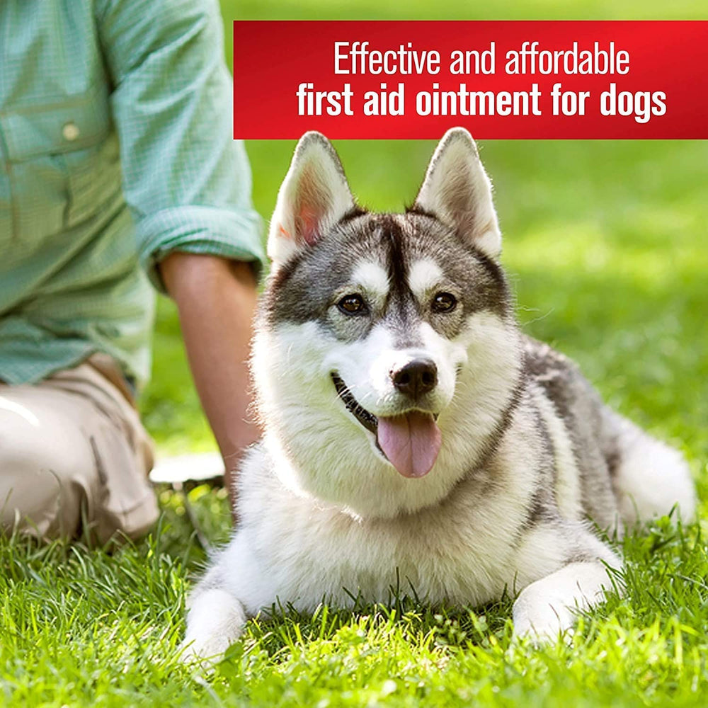 Sulfodene 3 Way Ointment applied on skin for minor irritations