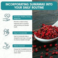 Sumamax cranberry extract bottle closeup emphasizes antioxidant-rich fruit components.
