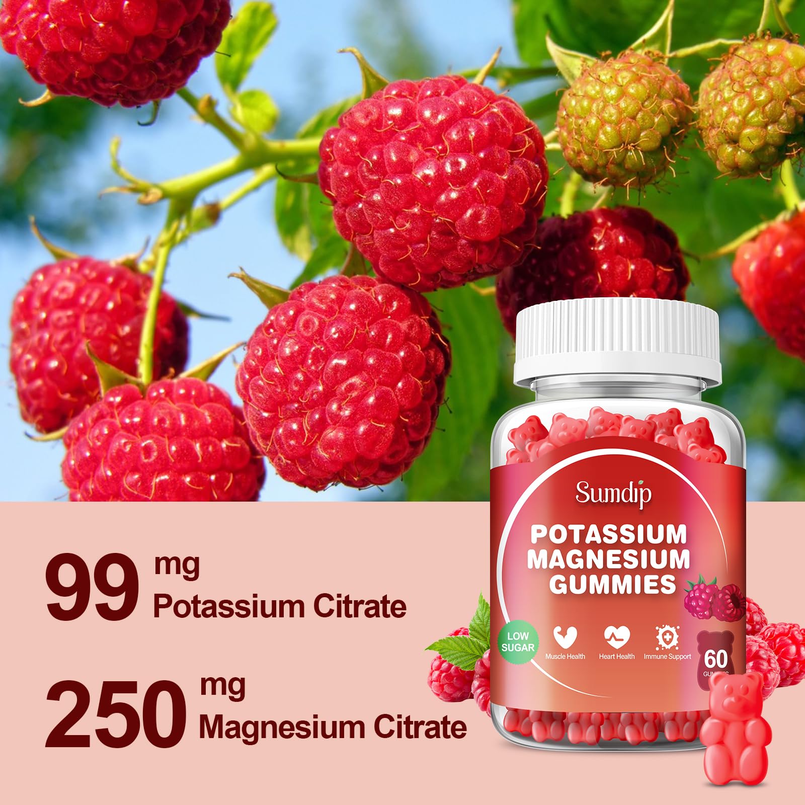 SumDIP ingredient label highlights potassium and magnesium content.