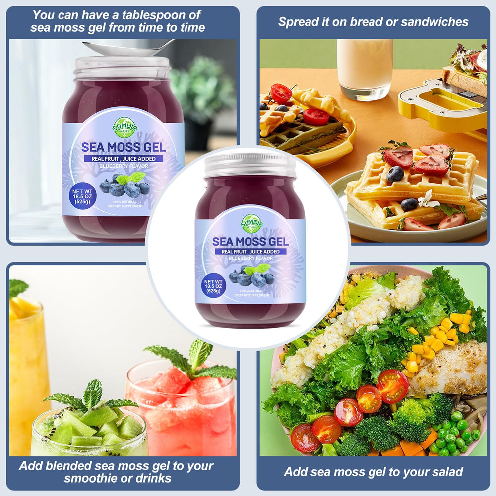 SumDIP Sea Moss Gel blueberry jar shown for convenient daily use