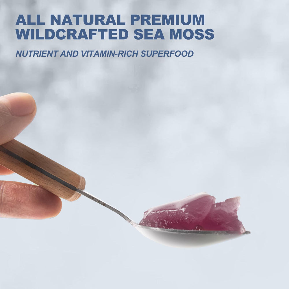 SumDIP Sea Moss Gel spoon-dip shows ready-to-use texture