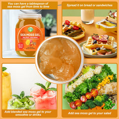 SumDIP sea moss gel served in a shake for daily wellness.