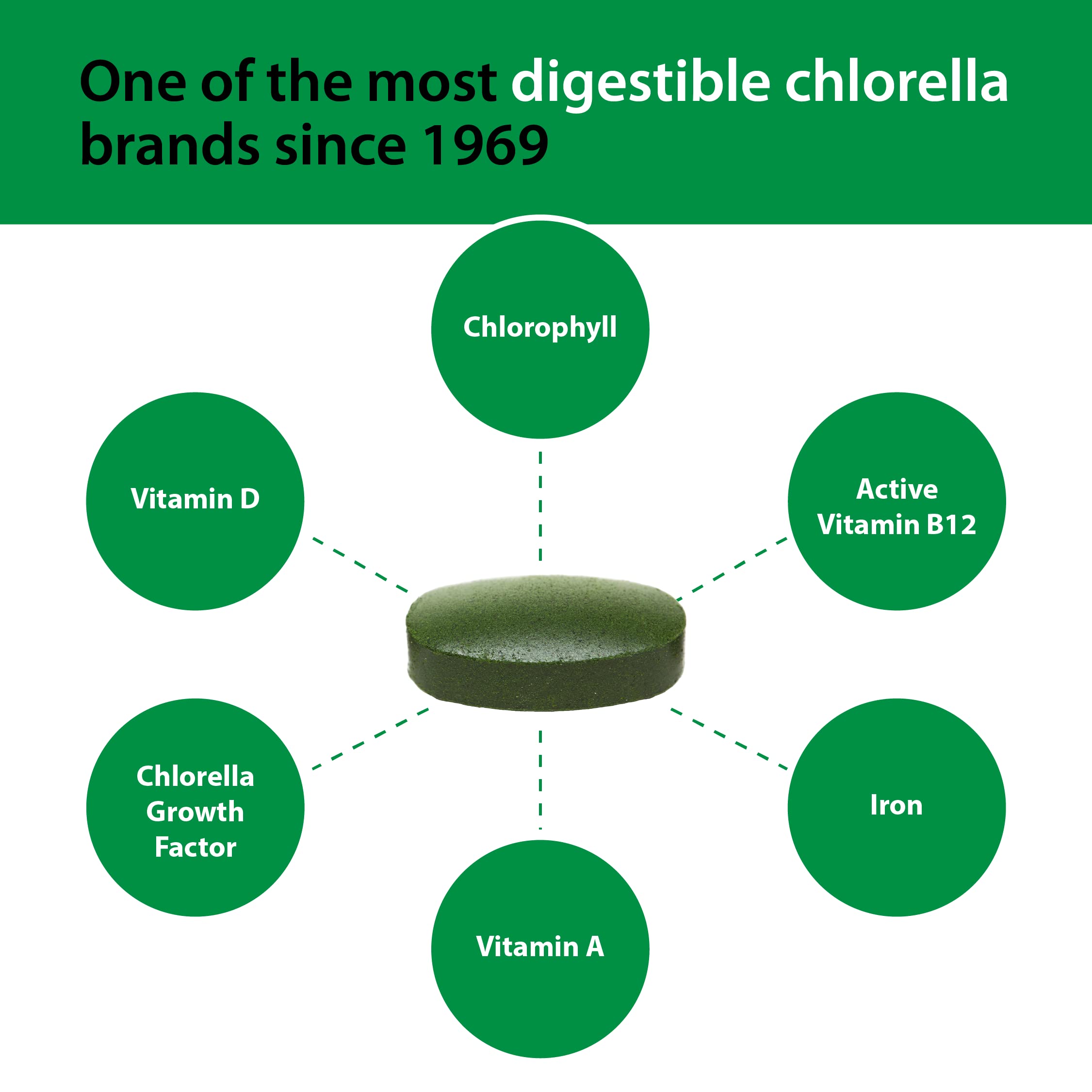 Sun Chlorella greens glow suggesting natural energy support.