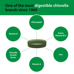 Sun Chlorella greens glow suggesting natural energy support.