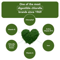 Scoop of Sun Chlorella powder measuring a serving.