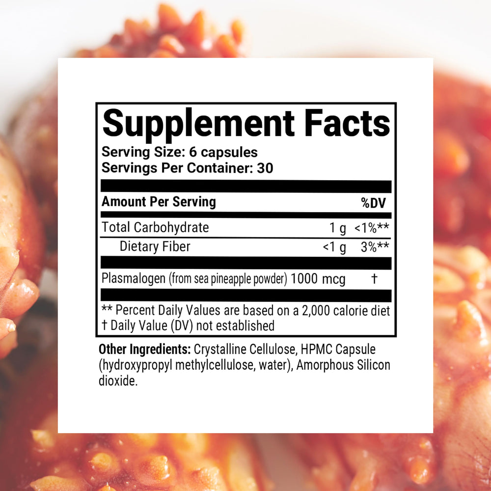 Sun Chlorella Sun Neuro ingredient list photo highlighting plasmalogen and antioxidants