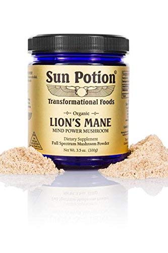 Sun Potion Lions Mane morning bowl ready to support focus and clarity.