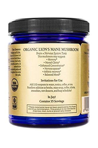 Sun Potion Lions Mane powder closeup shows fine texture ideal for smoothies.