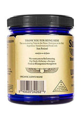 Sun Potion Lions Mane serving scoop for a convenient daily ritual.