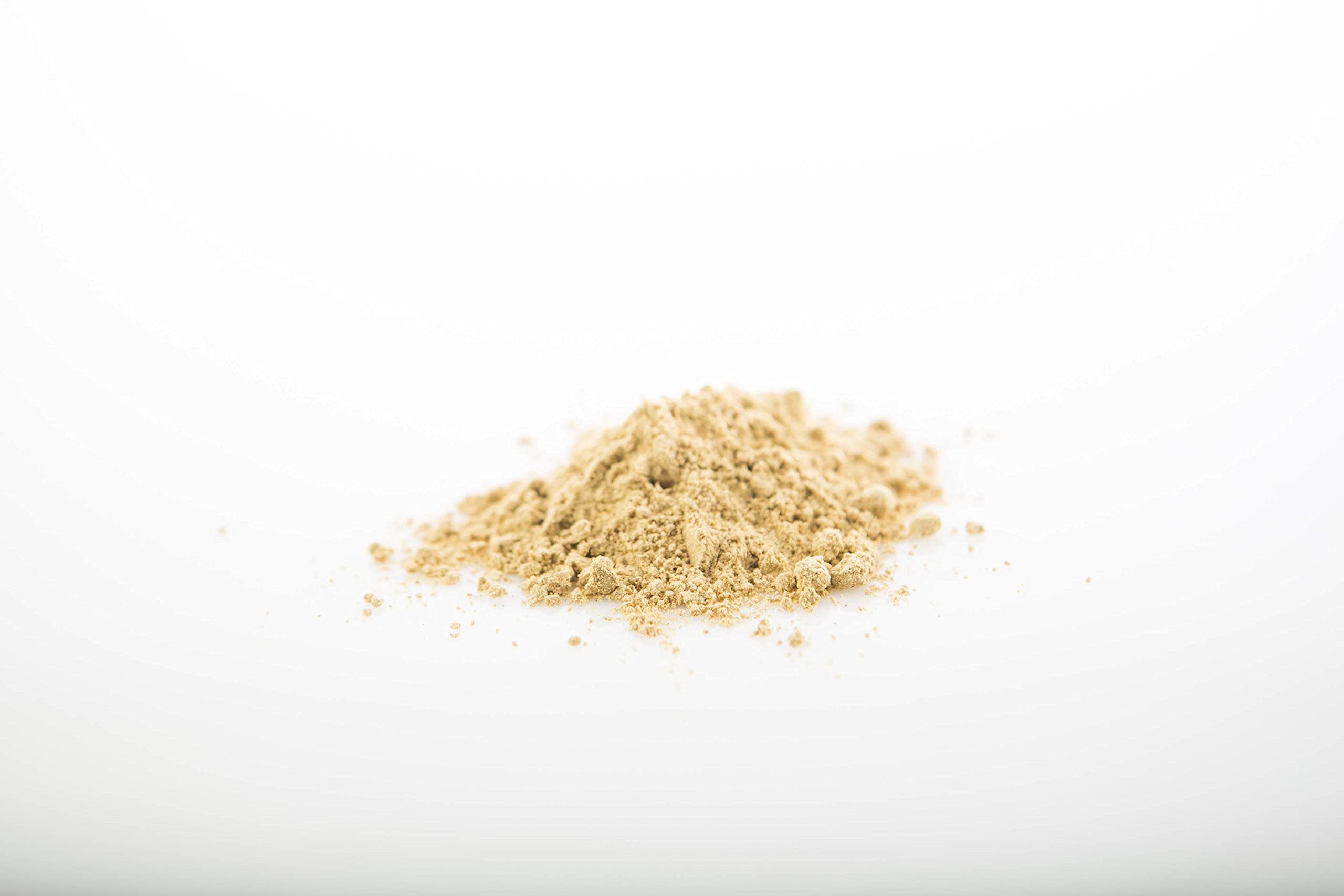Reishi powder in cup steaming, inviting moments of reflective, stress-resilient rituals.