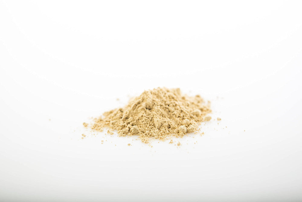 Reishi powder in cup steaming, inviting moments of reflective, stress-resilient rituals.