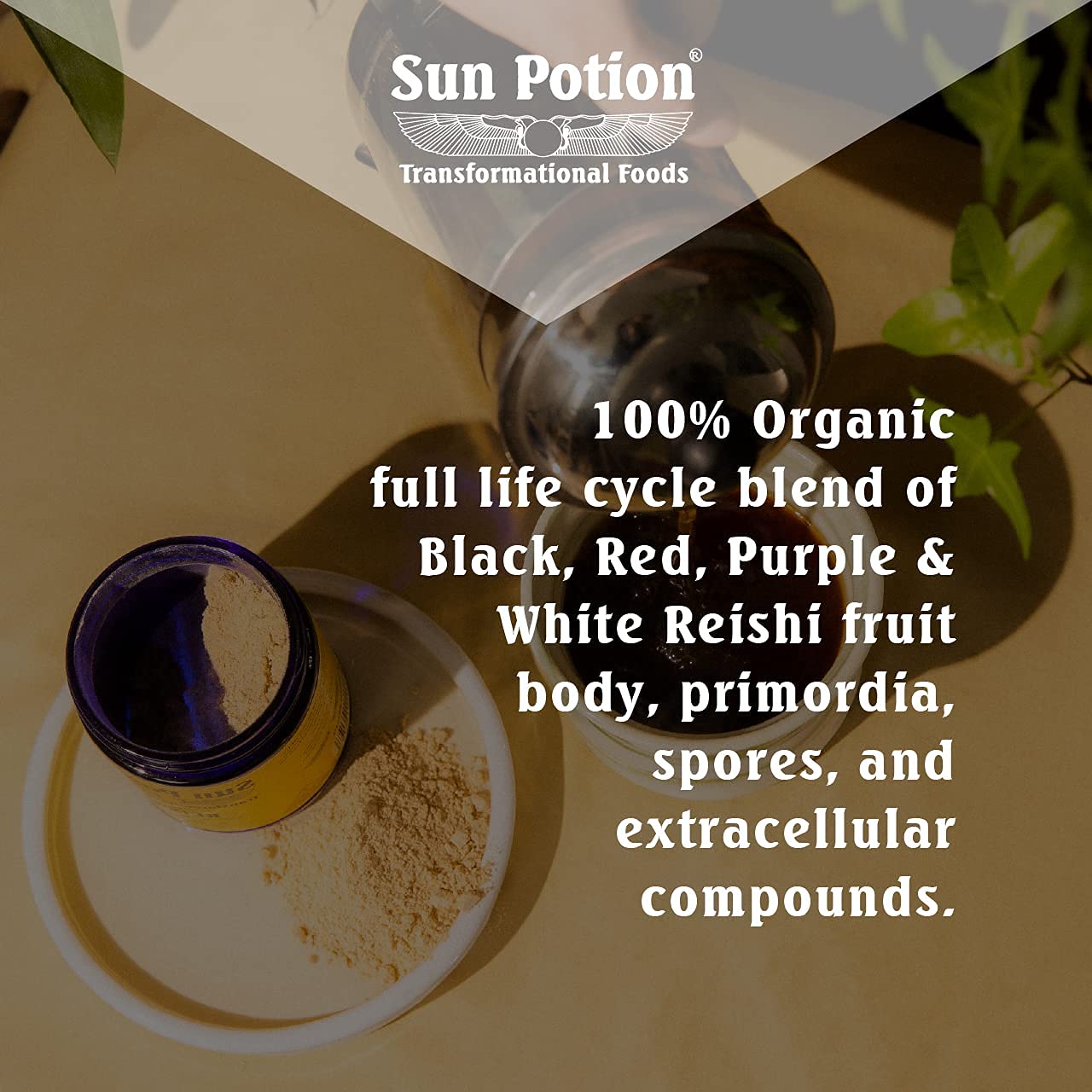 Close-up of Reishi powder jar label highlights organic farming and full-spectrum bioactives.