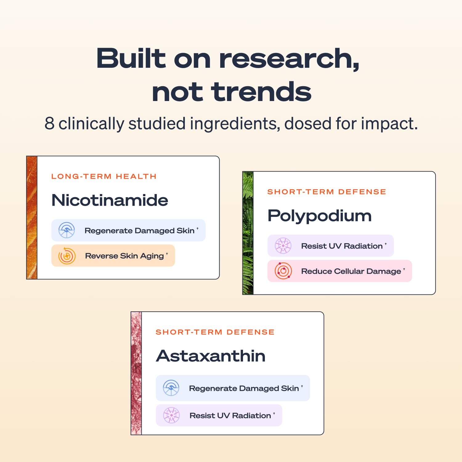 Sun Powder features Polypodium Leucotomos and Hyaluronic Acid