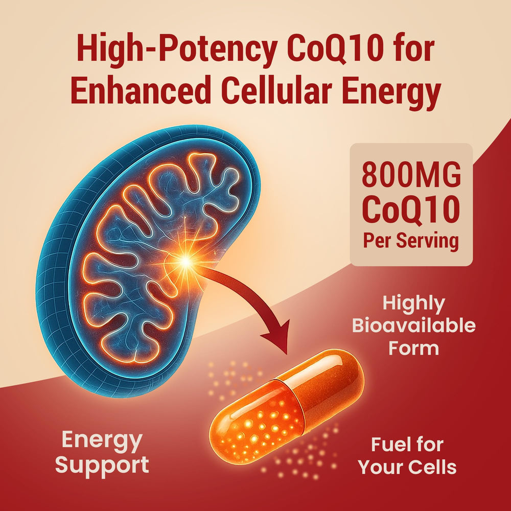 Packaging box of Sundhed Natural CoQ10 800mg communicates premium antioxidant support
