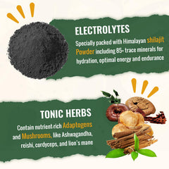 Sundhedsliv Synbiotics blend illustration hints gut support