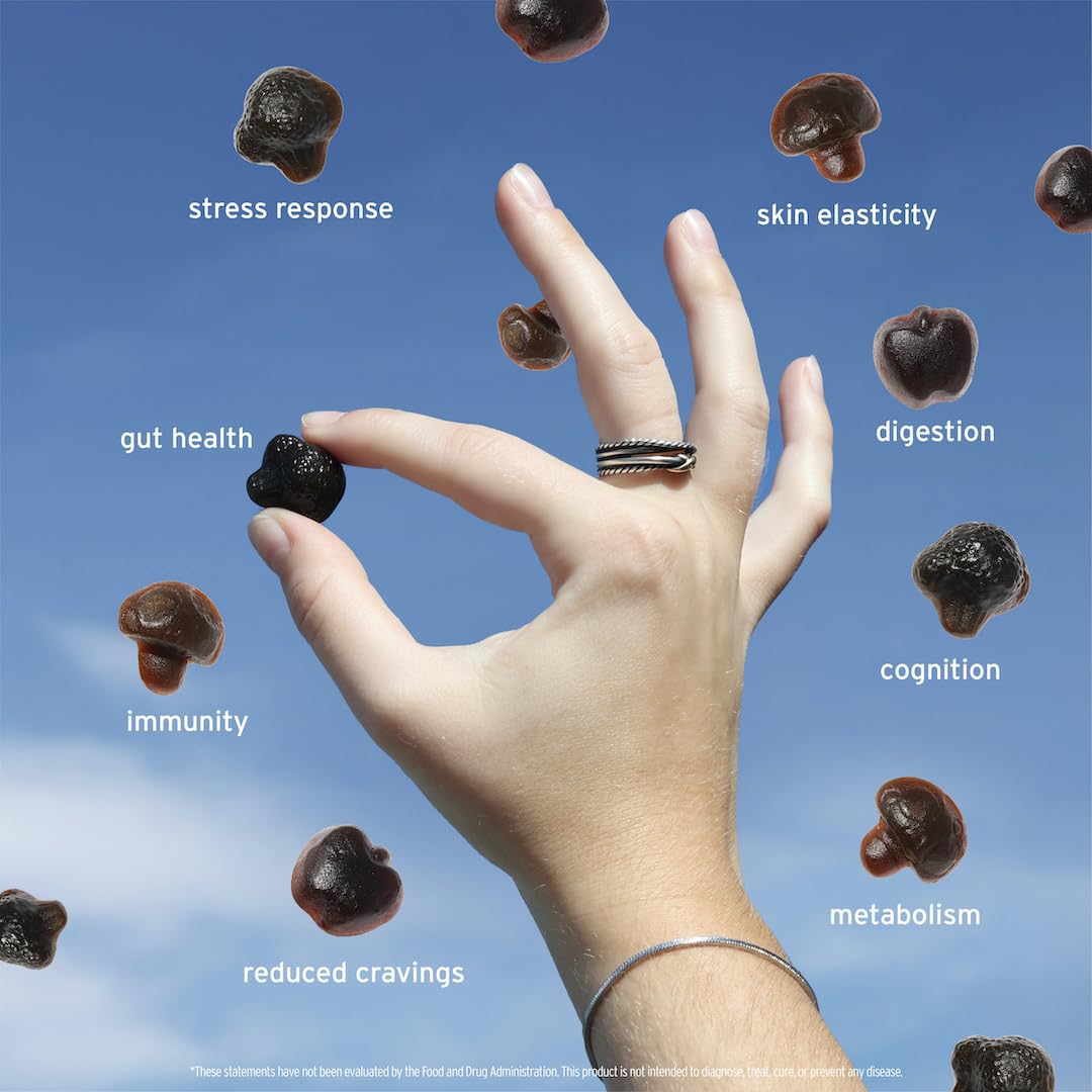 SUNMED Supergreens daily gummies with ashwagandha highlight stress resilience potential.