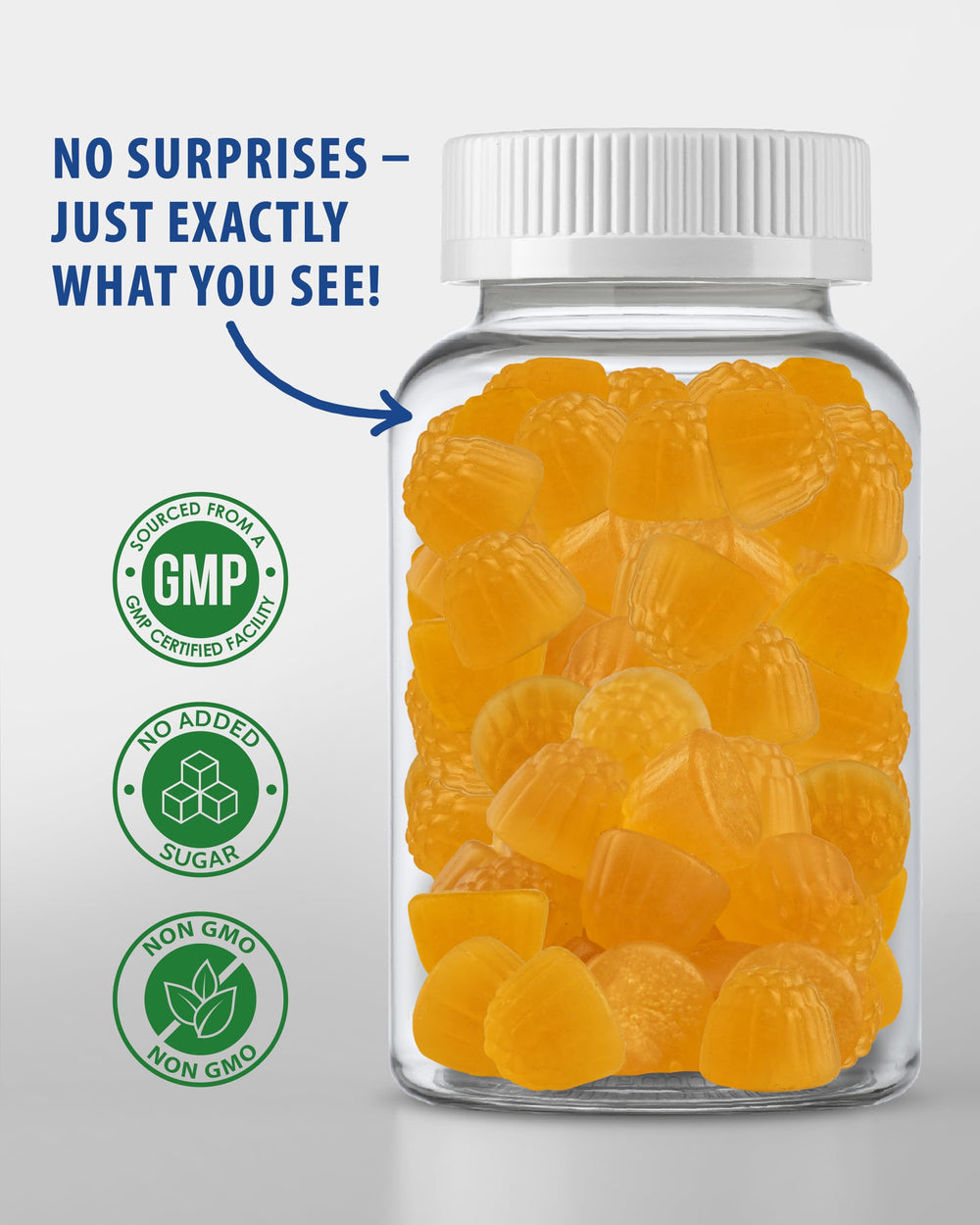 SUNNY SAM high potency gummies for daily supplement routines