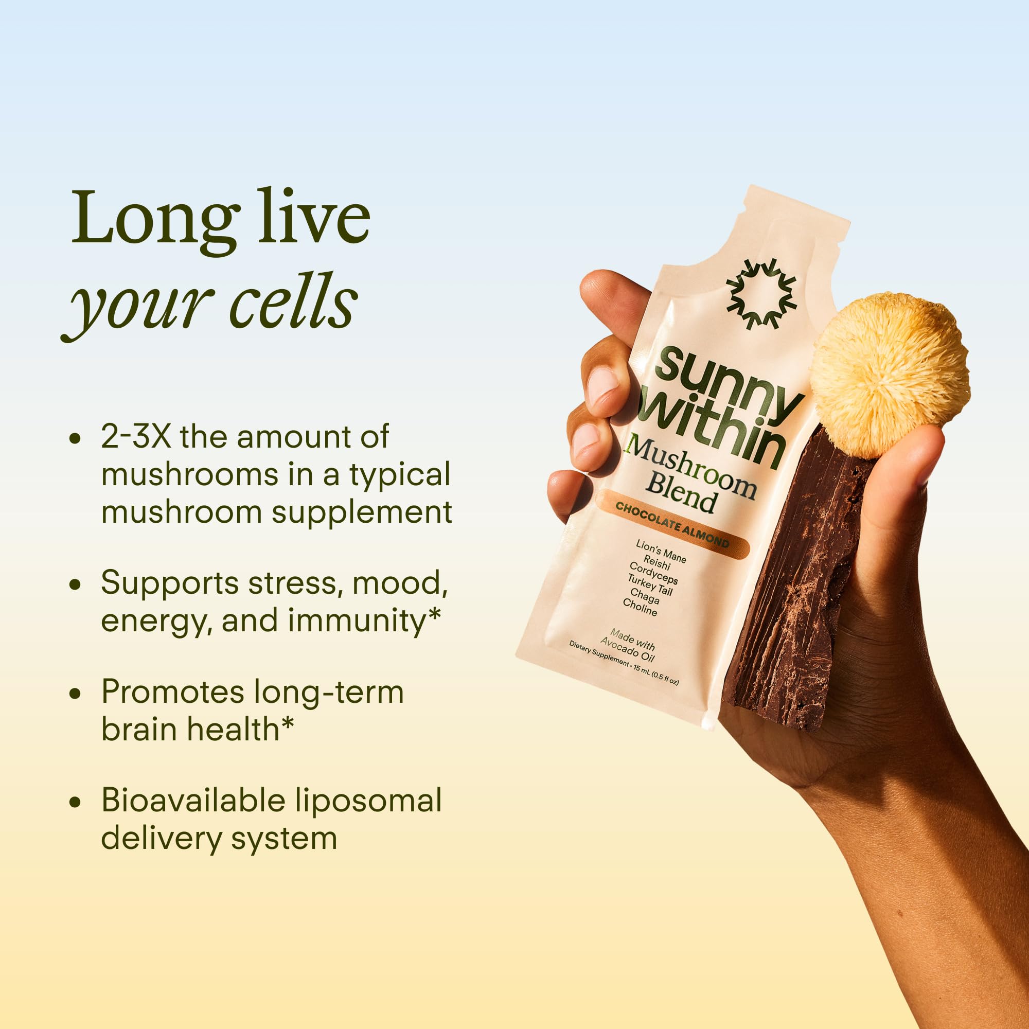 Sunny Within chocolate mushroom powder cup highlights a tasty ritual for energy.