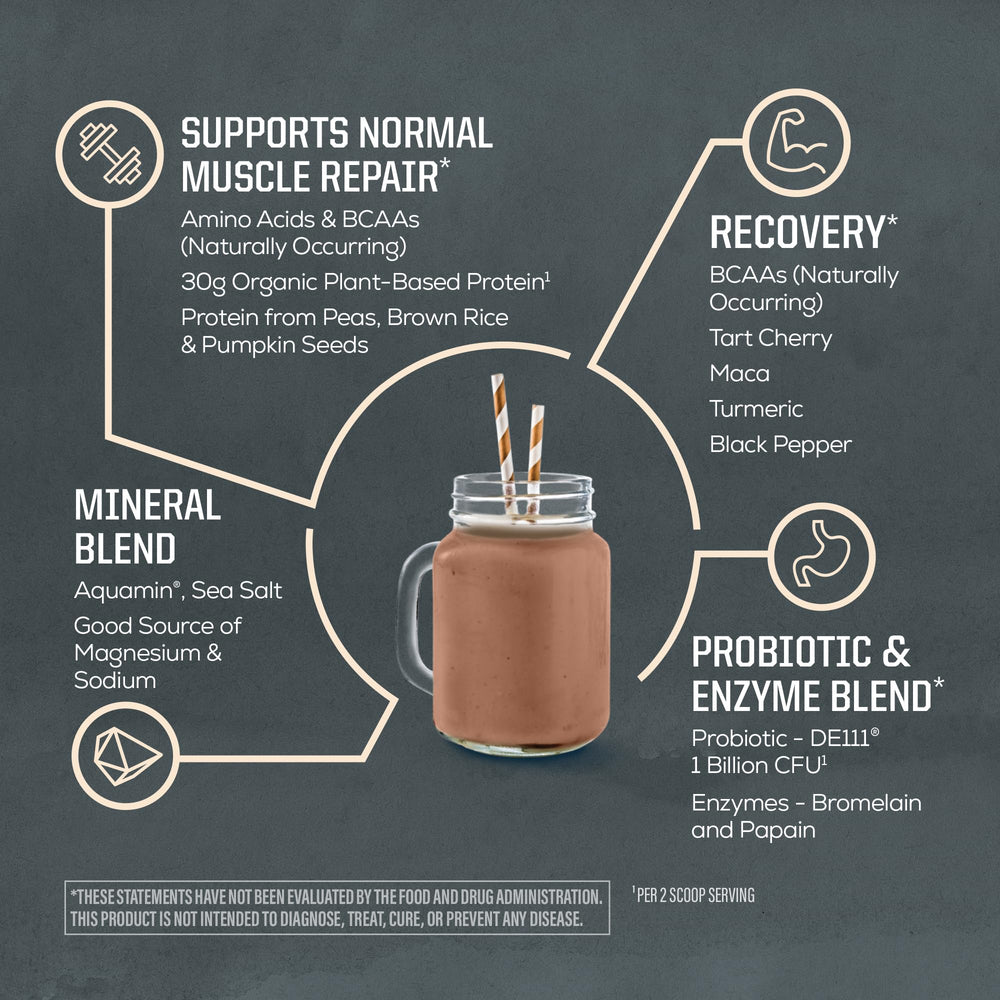 Sunwarrior organic plant protein ingredients scene highlighting rice, pumpkin, and pea blends.