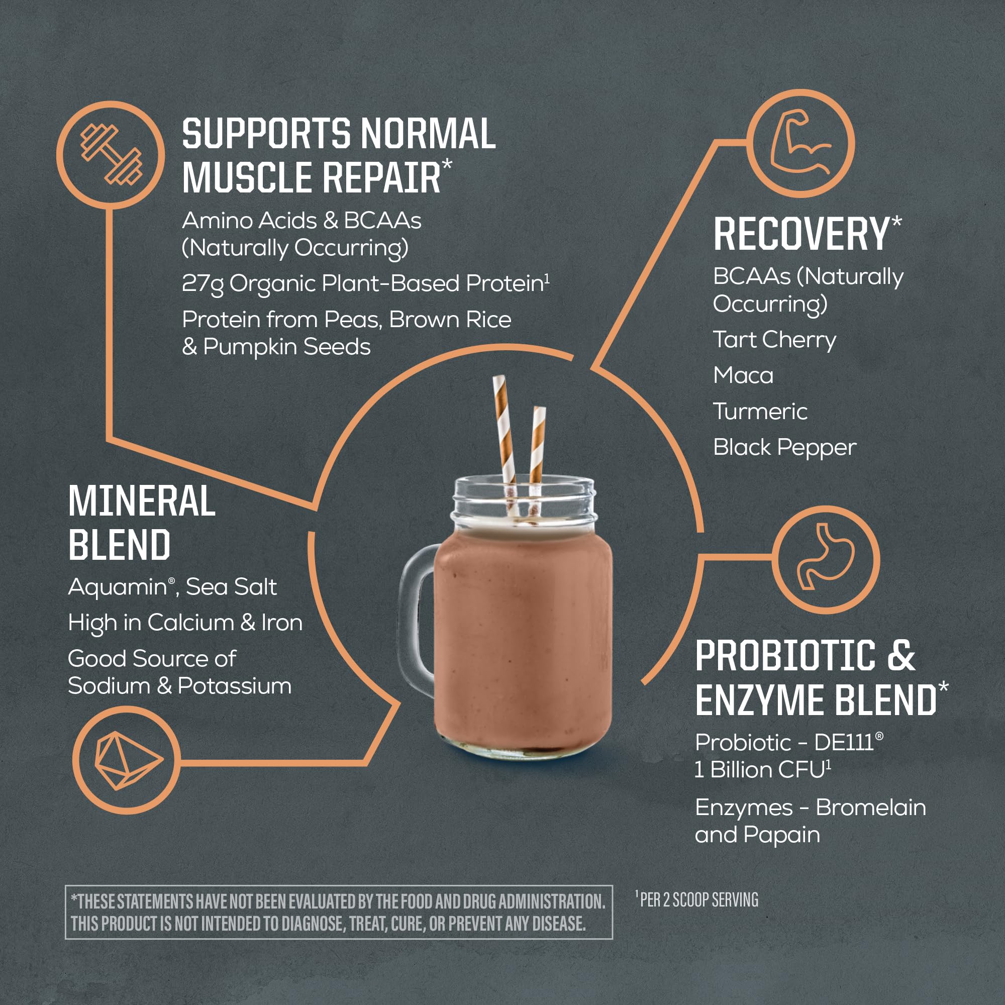 Sunwarrior ingredient panel reveals plant proteins and minerals in the protein powder.