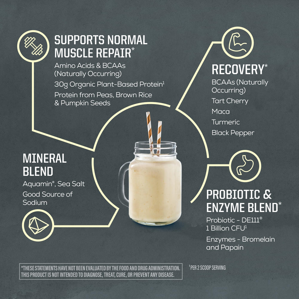 Sunwarrior rice pumpkin pea protein blend close-up highlighting amino acids for balanced nutrition.