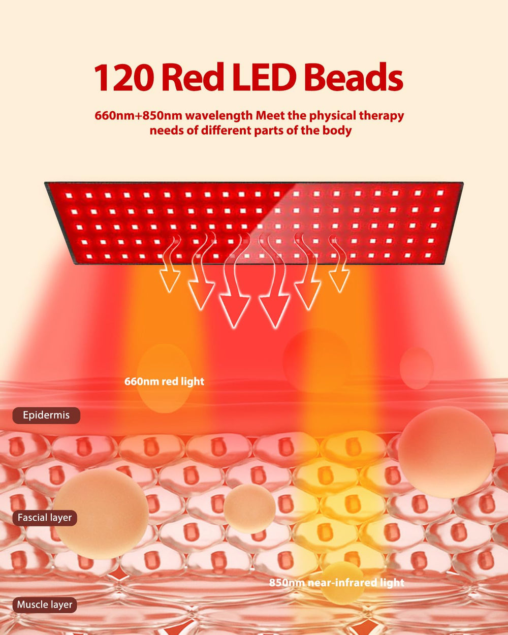 Suokeay 850nm/660nm spectrum supports deep warmth and light therapy uses