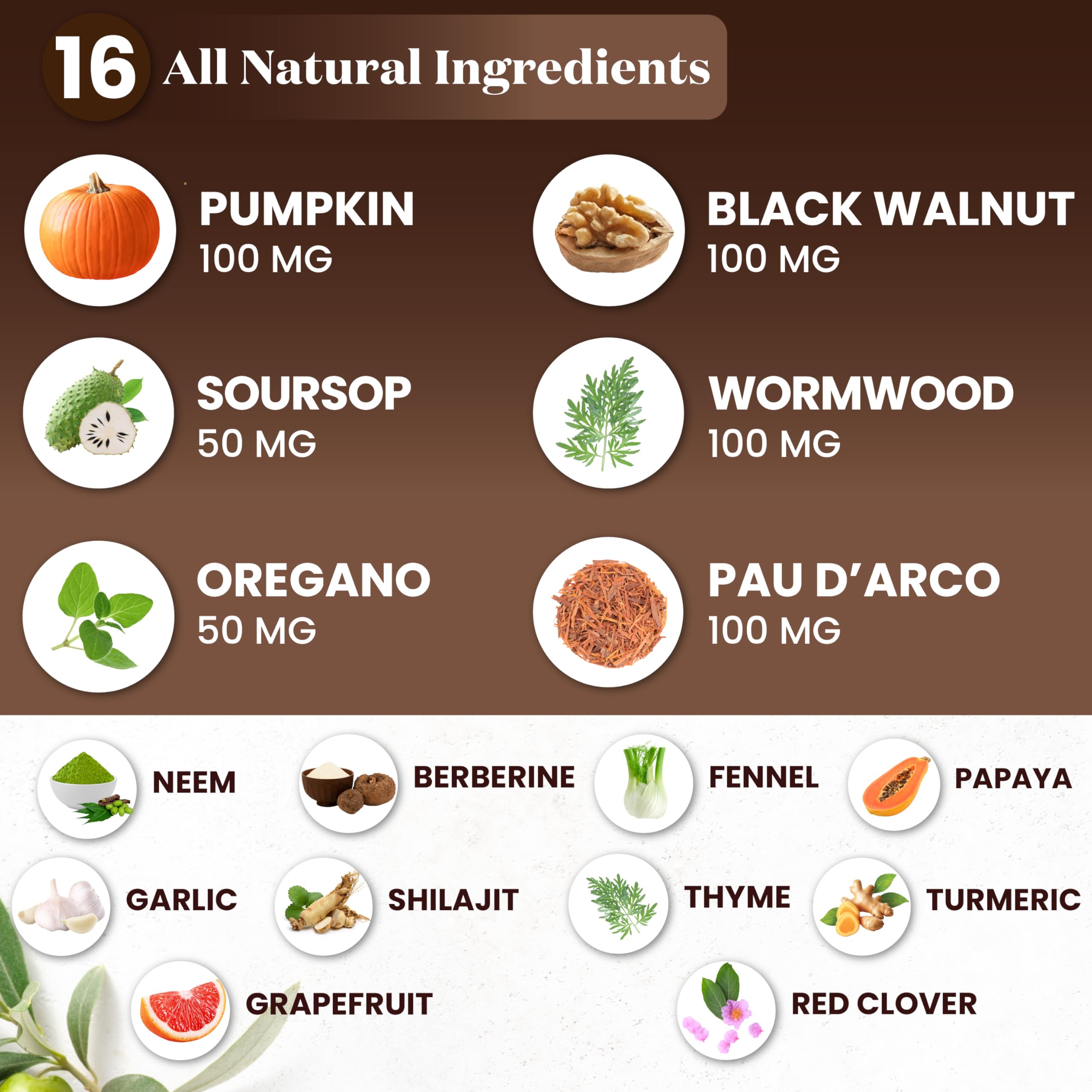 Packaging box of Superfood MD cleanse highlighting premium herbal blend.