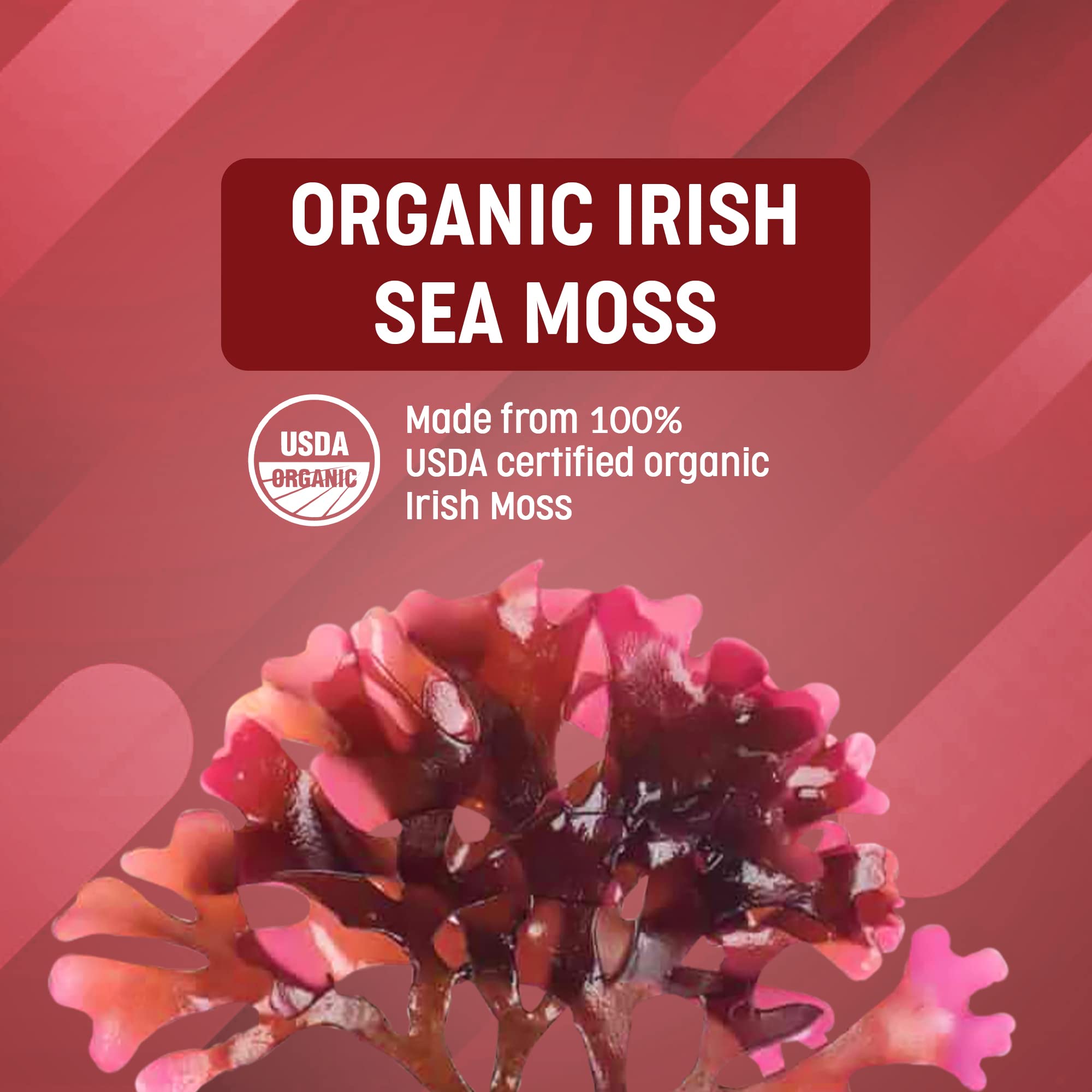 90 servings per bottle highlighted on the Ocean Optima packaging.