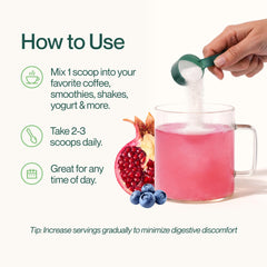 Pomegranate berry flavored Supergut Foundational Daily Fiber Powder