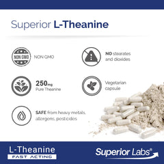 Superior Labs L-Theanine packaging back view with ingredients and purity notes