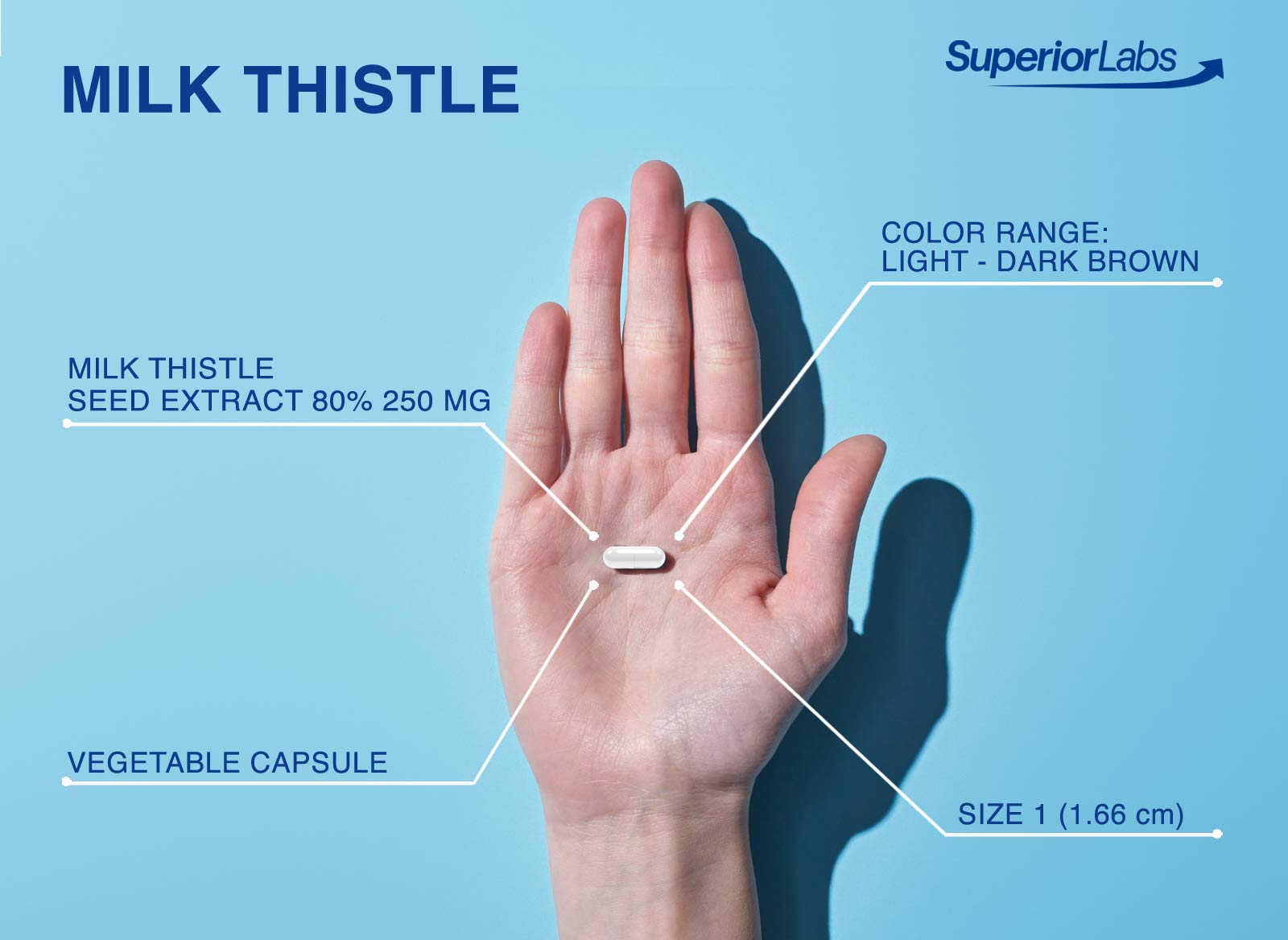 Superior Labs Milk Thistle third-party testing badge signals rigorous purity checks
