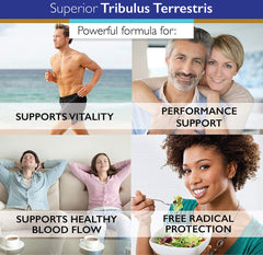 Superior Labs Tribulus Terrestris capsules on a table for daily routine use.