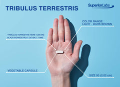 Natural Tribulus Terrestris roots close-up from Superior Labs product imagery.