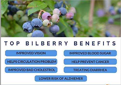 Four-pack display highlighting value and consistent daily use for vitality.