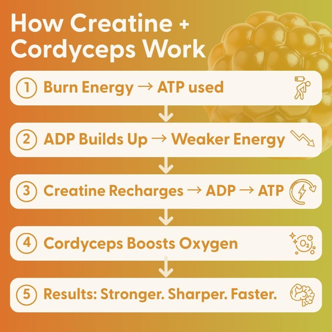 SuperMush creatine gummies with cordyceps for endurance and recovery support