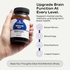 Suppgrade Labs Brain 101 label close-up highlighting ingredients for brain health.