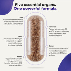 Suppgrade Labs Organs 101 label detail showing nutrition facts.