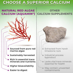 The SUPPLEMENTS STUDIO 7-in-1 bone health close-up shows D3 K2 turmeric synergy