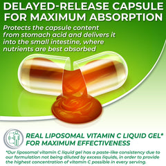 SUPPLEMENTS STUDIO organic acerola cherries powering vitamin C content