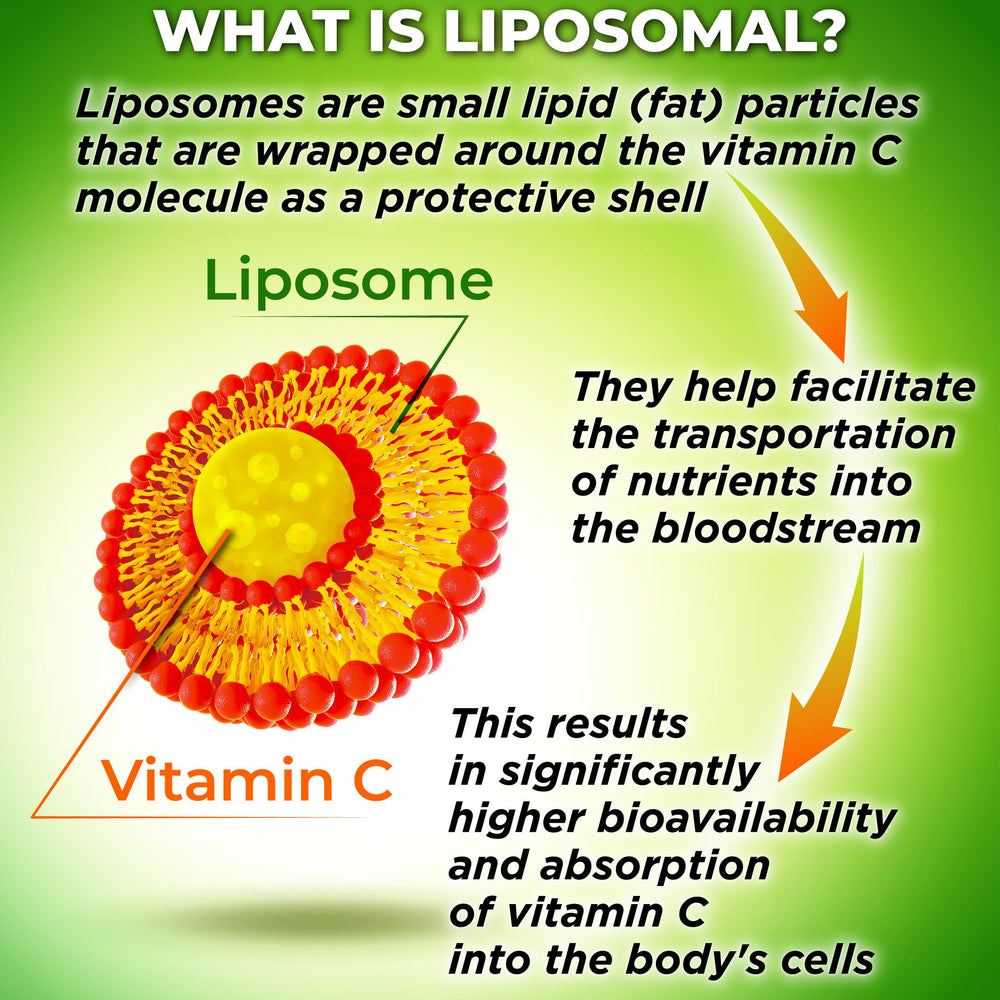 SUPPLEMENTS STUDIO liposomal technology graphic illustrating cell-membrane delivery