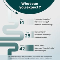 Probiotic icon highlights the probiotic content in SUPPLY6 360 Greens.