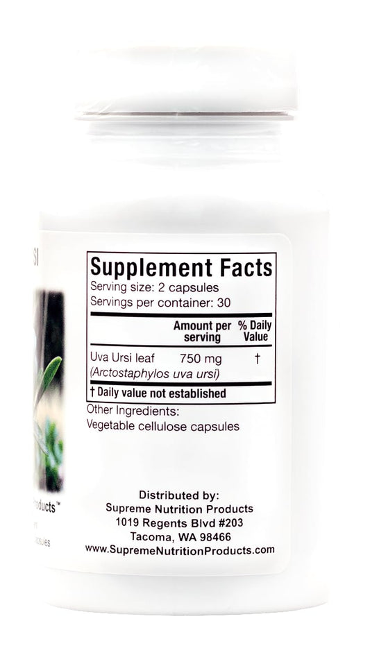 Uva Ursi leaf close-up highlighting pure herbal ingredient for natural use