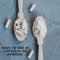 Surthrival Colostrum product on white - easy-to-integrate wellness addition