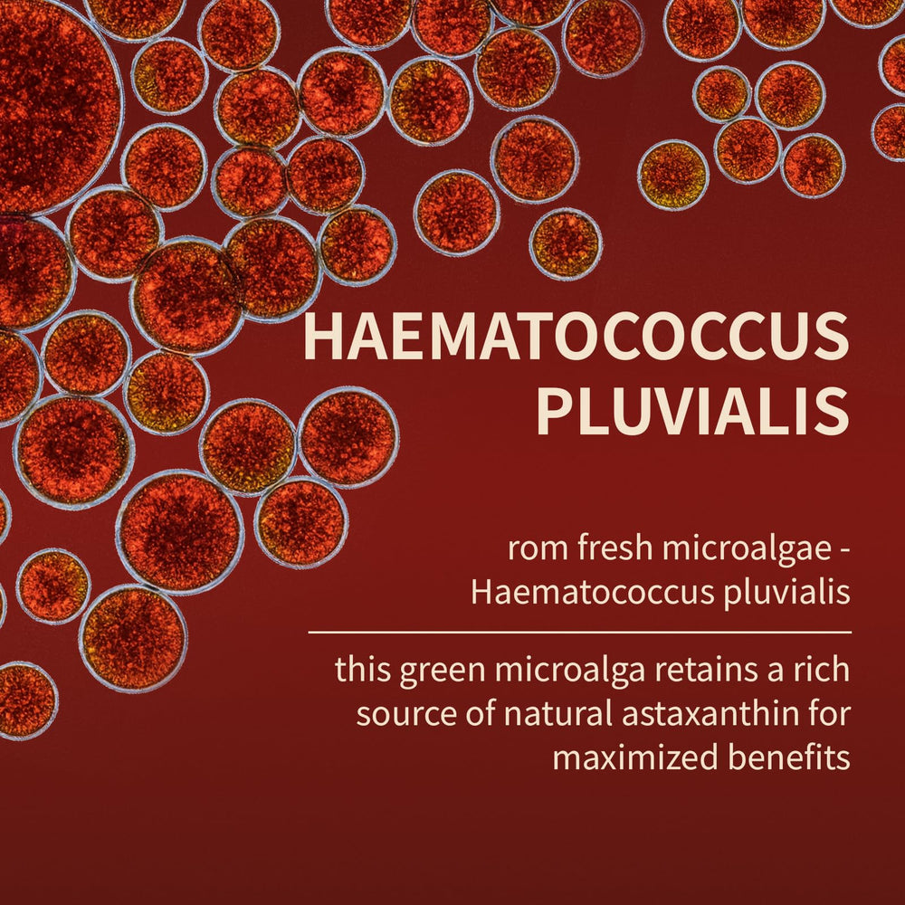 SUUDUUL Belano Astaxanthin bottle label highlights algae derived antioxidant from Haematococcus pluvialis.